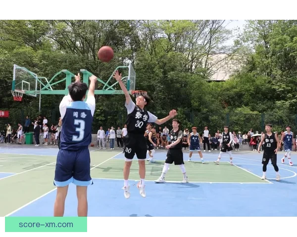 熊猫体育篮球全面解析赛程赛事资讯与球员动态盘点